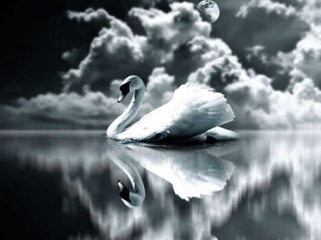 The Swan (piano)